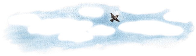 Иллюстрация к книге — Большая маленькая девочка. История пятая. Сто один способ заблудиться в лесу [i_028.jpg]