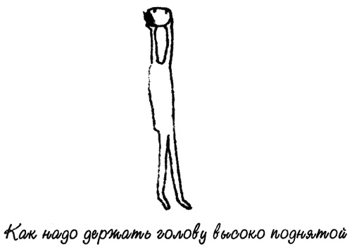 Иллюстрация к книге — Как сделать птицу [i_004.jpg]