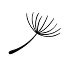 Иллюстрация к книге — Звезда в оранжевом комбинезоне [i_001.jpg]