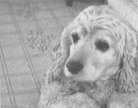 Иллюстрация к книге — Украденная жизнь [i_010.jpg]