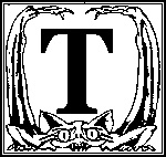 Иллюстрация к книге — Чародей и Летающий Город [T.jpg]