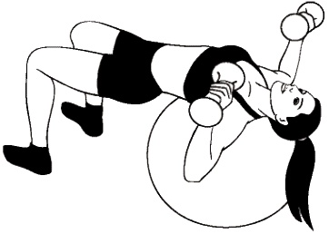 Иллюстрация к книге — Фитбол. 10 минут в день [i_006.jpg]