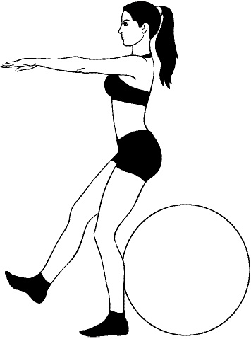 Иллюстрация к книге — Фитбол. 10 минут в день [i_009.jpg]