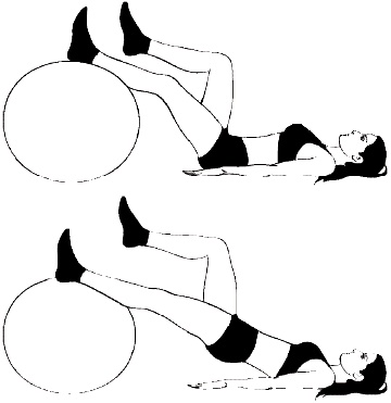 Иллюстрация к книге — Фитбол. 10 минут в день [i_013.jpg]