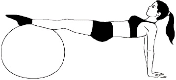 Иллюстрация к книге — Фитбол. 10 минут в день [i_016.jpg]