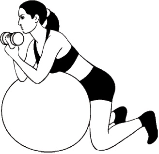 Иллюстрация к книге — Фитбол. 10 минут в день [i_018.jpg]