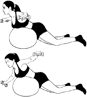 Иллюстрация к книге — Фитбол. 10 минут в день [i_022.jpg]