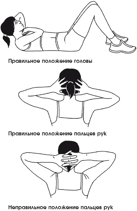 Иллюстрация к книге — Тренируем мышцы живота и спины за 10 минут в день [i_001.jpg]