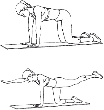 Иллюстрация к книге — Тренируем мышцы живота и спины за 10 минут в день [i_029.jpg]