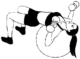 Иллюстрация к книге — Тренируем мышцы груди и рук 10 минут в день [i_003.jpg]