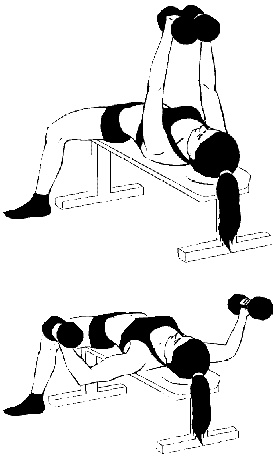 Иллюстрация к книге — Тренируем мышцы груди и рук 10 минут в день [i_005.jpg]