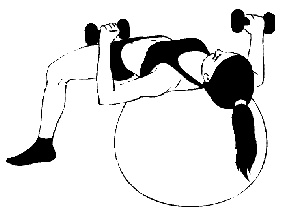 Иллюстрация к книге — Тренируем мышцы груди и рук 10 минут в день [i_007.jpg]