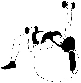 Иллюстрация к книге — Тренируем мышцы груди и рук 10 минут в день [i_008.jpg]