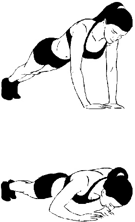 Иллюстрация к книге — Тренируем мышцы груди и рук 10 минут в день [i_024.jpg]