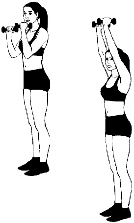 Иллюстрация к книге — Тренируем мышцы груди и рук 10 минут в день [i_025.jpg]