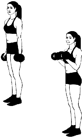 Иллюстрация к книге — Тренируем мышцы груди и рук 10 минут в день [i_030.jpg]