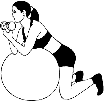 Иллюстрация к книге — У меня фигурка SEXY. Эффективный фитнес и уход за телом [i_027.jpg]