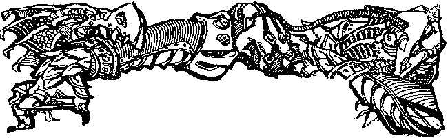 Иллюстрация к книге — Драконы Аргоната [Glava2.jpg]