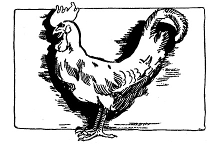 Иллюстрация к книге — Трусливый Лев из Страны Оз. Бравый Дед в Стране Оз [pic.0012.jpg]