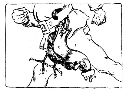 Иллюстрация к книге — Трусливый Лев из Страны Оз. Бравый Дед в Стране Оз [pic.0014.jpg]