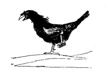 Иллюстрация к книге — Трусливый Лев из Страны Оз. Бравый Дед в Стране Оз [pic.0052.jpg]