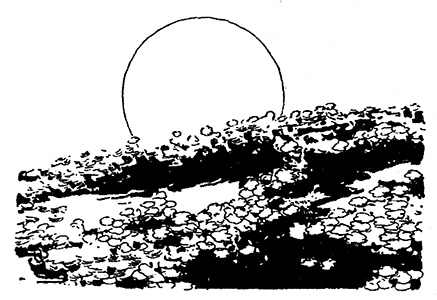 Иллюстрация к книге — Трусливый Лев из Страны Оз. Бравый Дед в Стране Оз [pic.0067.jpg]