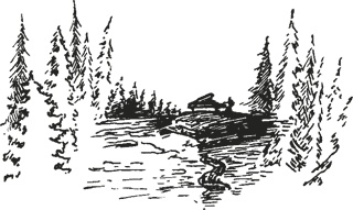 Иллюстрация к книге — Мифогенная любовь каст [i_004.jpg]