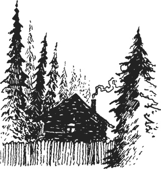 Иллюстрация к книге — Мифогенная любовь каст [i_013.jpg]