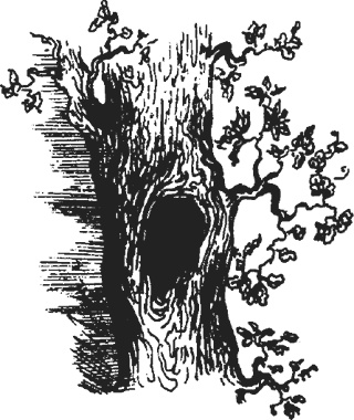 Иллюстрация к книге — Мифогенная любовь каст [i_016.jpg]