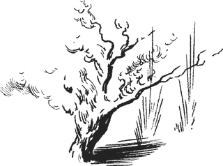 Иллюстрация к книге — Мифогенная любовь каст [i_032.jpg]