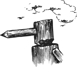 Иллюстрация к книге — Мифогенная любовь каст [i_055.jpg]