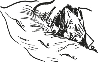 Иллюстрация к книге — Мифогенная любовь каст [i_065.jpg]