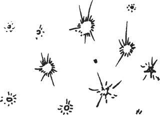 Иллюстрация к книге — Мифогенная любовь каст [i_078.jpg]