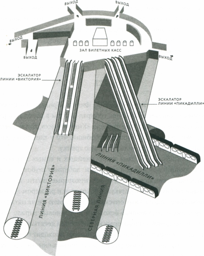 Иллюстрация к книге — Сила привычки. Почему мы живем и работаем именно так, а не иначе [image33.jpg]