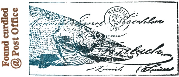 Иллюстрация к книге — Шляпа фокусника [_002.jpg]