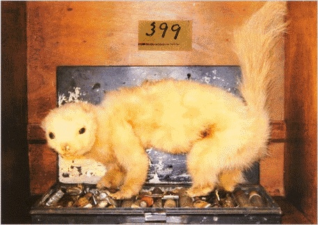 Иллюстрация к книге — Шляпа фокусника [_038.jpg]