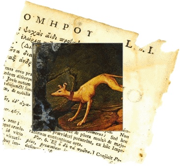 Иллюстрация к книге — Шляпа фокусника [_086.jpg]