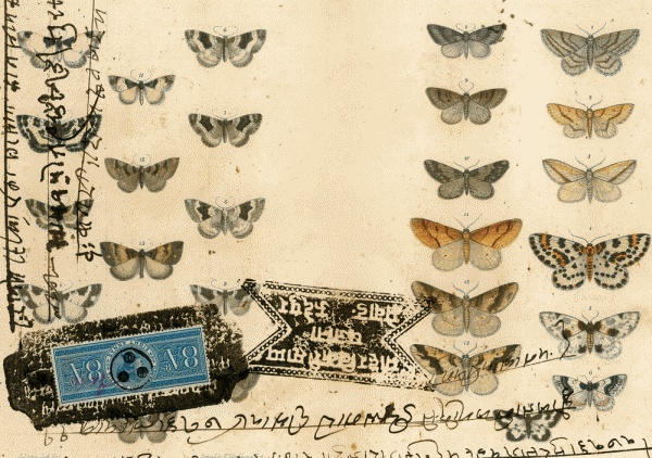 Иллюстрация к книге — Шляпа фокусника [_091.jpg]