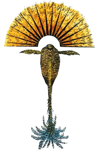 Иллюстрация к книге — Шляпа фокусника [_115.jpg]