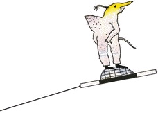 Иллюстрация к книге — Шляпа фокусника [_127.jpg]