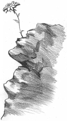 Иллюстрация к книге — Каникулы Петрова и Васечкина [i_017.jpg]