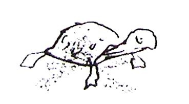 Иллюстрация к книге — Послушай мое сердце [_00022.jpg]