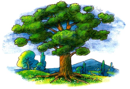 Иллюстрация к книге — Дом на дереве [img04.jpg]