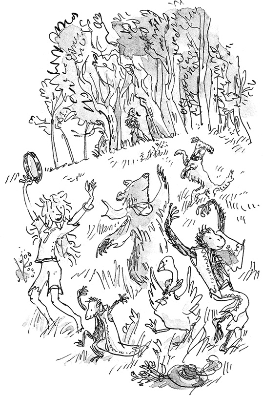 Иллюстрация к книге — Удивительное путешествие Полисены Пороселло [i_010.jpg]