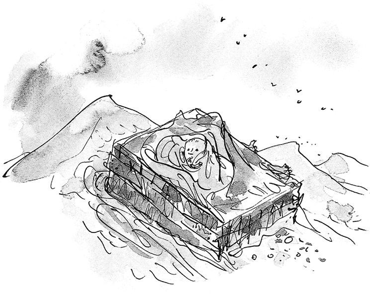 Иллюстрация к книге — Удивительное путешествие Полисены Пороселло [i_016.jpg]