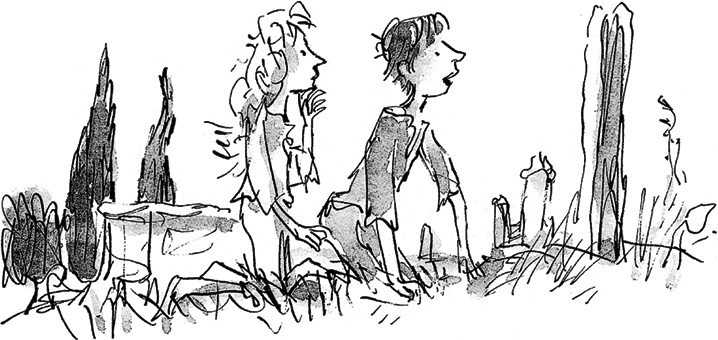 Иллюстрация к книге — Удивительное путешествие Полисены Пороселло [i_036.jpg]