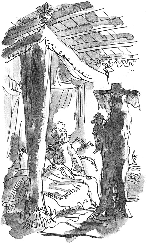 Иллюстрация к книге — Удивительное путешествие Полисены Пороселло [i_043.jpg]