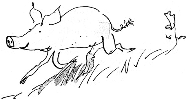 Иллюстрация к книге — Удивительное путешествие Полисены Пороселло [i_051.jpg]