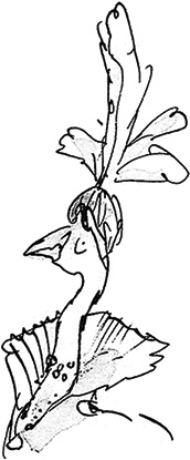 Иллюстрация к книге — Удивительное путешествие Полисены Пороселло [i_054.jpg]