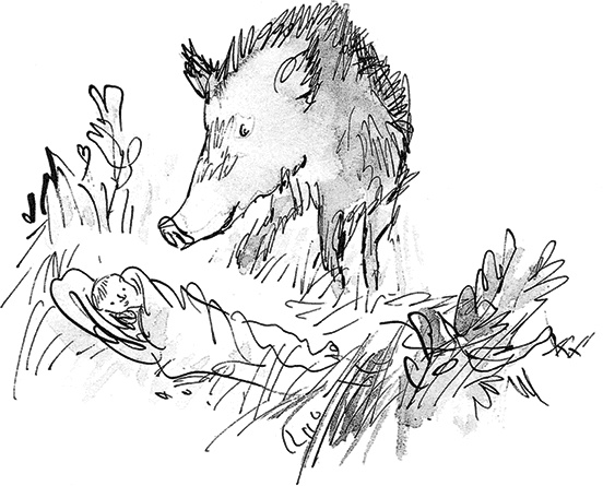 Иллюстрация к книге — Удивительное путешествие Полисены Пороселло [i_057.jpg]